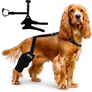 Dog Knee Brace  Adjustable Hind Leg Support for Torn ACL, Joint Pain, Arthritis & Injury Recovery. Comfortable, Vet-Recommended Dog Leg Brace (Small Brace with Collar)
