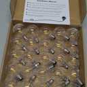 Meconard G40 1.57 Inch Led Replacement Light Bulbs, E12 Screw Base Shatterproof LED Small Globe Light Bulbs for Outdoor String Lights, 1Watt Equvalent to 5 Watt Incandescent Bulbs, Warm White, 25Pack