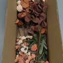 Artificial Fall Flowers - 14pcs Fall Faux Pompon Mum Flowers, Beige Silk Fake Chrysanthemum Kiku Blooms Flower Bulk with Eucalyptus Stems for Bouquets Decor,Fall Decorations, Floral Arrangements