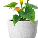 Meowell Plant Pots 12 inch, Plastic Planters with Drainage Holes and Saucers, Large Flower Pots for Indoor Outdoor Plants, Modern Decorative Pots for Garden House Plants, Speckled White
