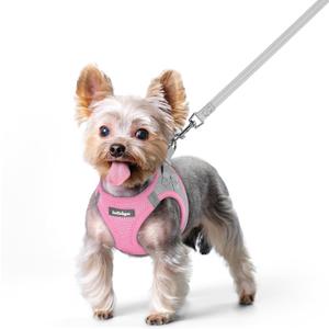 rabbitgoo Dog Harness Small Sized and Leash Set, Step in Soft Light Puppy Vest, Breathable Mesh Pet Harness, Reflective for Safe Easy Walking, Pink & Gray XS