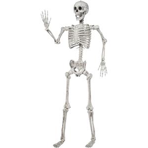 JOYIN 5.6 FT Halloween Posable Life Size Skeleton Full Body Realistic Bones with Movable Joints for Halloween Indoor and Outdoor Decoration Props Spooky Scene Party Decorations (White)
