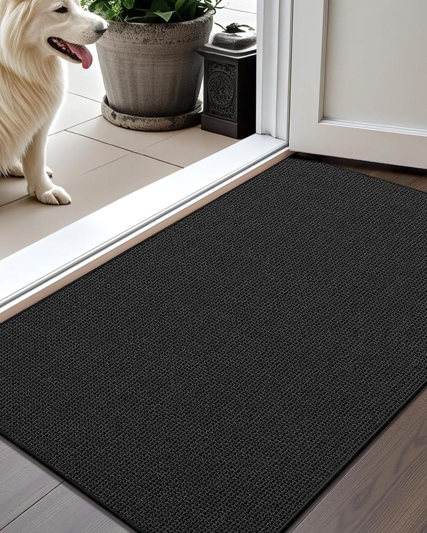 Color&Geometry Thin Door Mat Indoor Entrance Non Slip Rubber Backed, 24"x36" Indoor Door Mats for Entryway, Dirt Trapper Doormat, Washable Front Door Rugs, Ebony Black