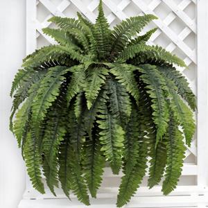 Large Artificial Ferns for Outdoor 48 Fronds Fake Boston Fern Faux Ferns Plant Silk Greenery for Indoors Home Garden Porch Windowsill Decor (1 Stem) (47 inches)