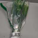 Artificial Fake Outdoor Plants Flowers for Summer Decoration,10 Bundles Faux Plastic Tall Monkey Grass Greenery UV Resistant Realistic for Home Outside Planter Window Porch Patio Garden-White