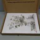 Doqueodas 3pcs Sage Green Kitchen Canvas Framed Wall Art Plant Farmhouse Style Utensils Images, Green Plant Minimalist Poster Print Suitable for Restaurant and Living Room Wall Decor 12x16 inch (Plant-based tableware)