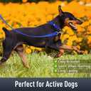 Airtag Dog Collar with AirTag Holder for Large Dogs, Reflective, Soft Padded & Safety Locking Buckle, Nylon Pet Collars Adjustable for All Breeds, NavyBlue,L (L: 1"-(13.5"-22"))