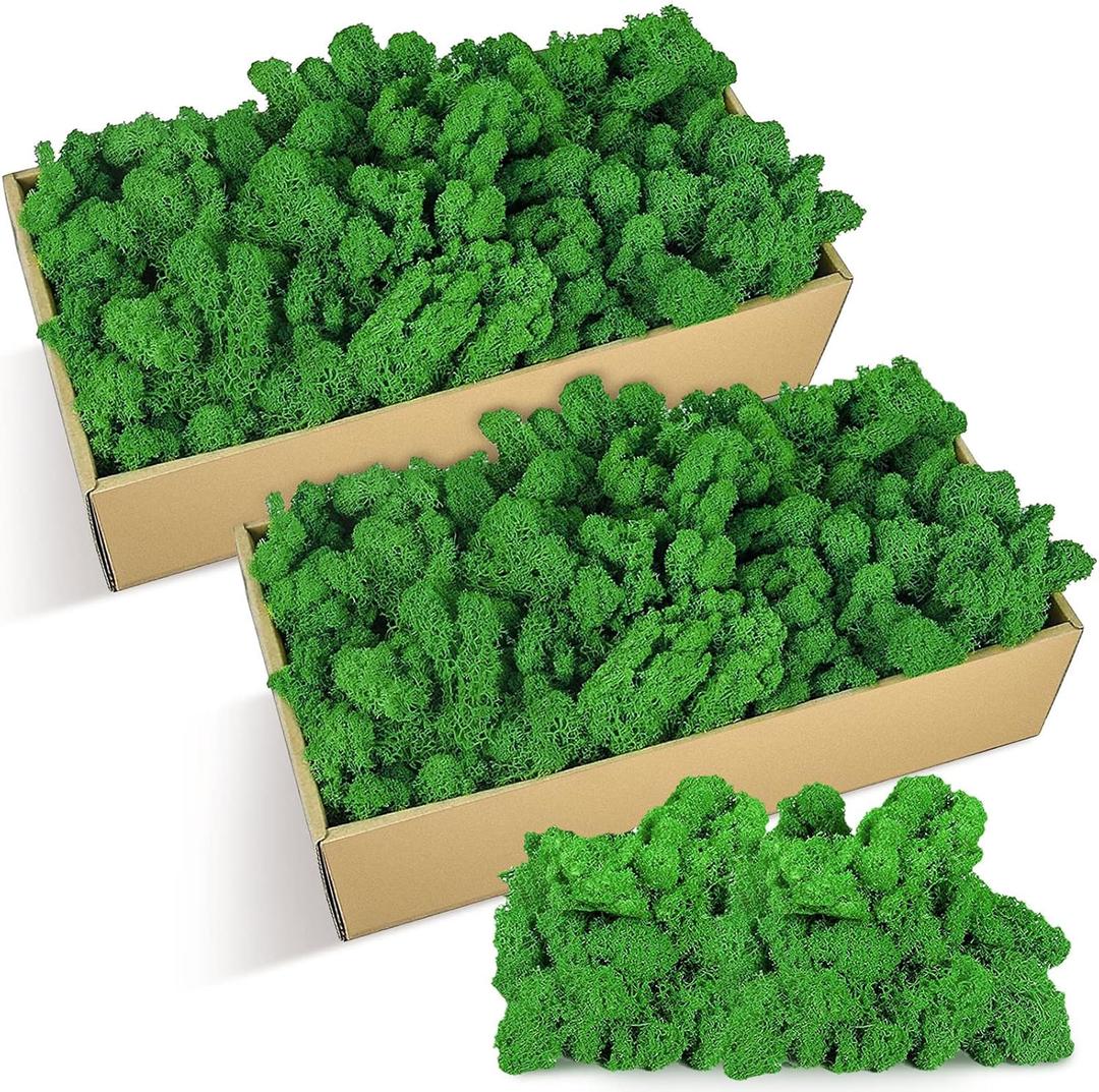 Jadive 21.2 oz Moss Preserved 1.32 Lbs Green Preserved Reindeer Moss Bulk Artificial Decorative DIY Kit for Craft Wall Decor Fairy Gardens Terrariums Art Project Table Floral Decor