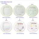 Bonroy Beginners Embroidery Practice kit 3 Sets to Learn 30 Different Stitches for Craft Lover Hand Stitch with Embroidery Fabric with Skill Techniques