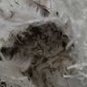 Bulk 10/90 Goose Down Feather Blend - Gray - Premium Quality Fill for Pillows, Bed,Throw, Couch, Side Sleeper Pillow - RDS Certified -5 lbs