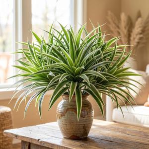 Hotop 6 Pcs Artificial Spider Plant Fake Greenery Plant Faux Chlorophytum Comosum Silk Greenery with White Edges for Indoor Outdoor Planter Home Office Decor 15.7 Inch Fake Hanging Grass Bush Decor