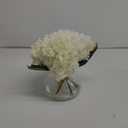 Hollyone Hydrangea Artificial Flowers with Vase White Silk Fake Flowers Arrangements in Glass Vase with Faux Water for Home Bathroom Office Table Centerpiece Shelf Decorations
