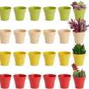Juvale 24 Pack Tiny Plastic Pots for Plants 1.5 Inch, Mini Planters for Flowers, Succulents (4 Colors) - Plant Pots