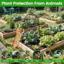 DFJFIFF Chicken Wire Plant Covers,20×12.6in Large Size Rust-Proof Plant Cages for Outdoor Plants, Flip-top Design for Easy Assembly, Rugged, Plants Protectors from Animals, 6-Pcs
