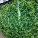 Artificial Plant Topiary Ball: UV-Anti 2 PCS 20 Inch 4-Layer Leaf Faux Boxwood Decorative Balls for Wedding, Balcony,Garden, Backyard and Indoor & Outdoor Greenery Home Dcor (Cypress)