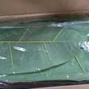 Erimda 7.2FT Artificial Banana Tree, Lifelike Fake Banana Leaf Tropical Silk Tree, Easy Assembly Faux Floor Plant with Sturdy Trunk, Maintenance Free for Indoor Home Patio Pool Outdoor Tropical Decor