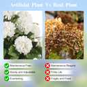 3FT Artificial Hydrangea Tree with Spikes, 2 Pack Faux Silk Plant Fake Hydrangea Bush Flower Tree for Porch Patio Living Room Decor