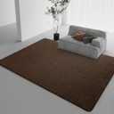 DweIke 6x9 Brown Rugs for Bedroom Living Room, Soft Fluffy Washable Low Pile Solid Color Rug, Non-Slip Throw Carpets for Kids Boys Girls Dorms Nursery Classroom Home Decor