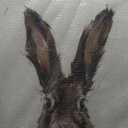 Stupell Industries Brown European Rabbit Hare Portrait Painting (30L" x 1.5W")