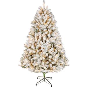 National Tree Company 6 ft Pre-Lit Flocked Acacia Artificial Christmas Tree, 300 Clear Lights, 840 Branch Tips, Includes Stand, Green