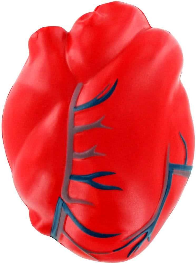 ARIEL Heart with Veins Stress Toy
