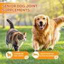 Turmeric Curcumin for Dogs  Hip & Joint Support, Heart & Immune Health Supplement, Immune System Booster, Joint Care for All Breeds & Ages, 60 Chewable Tablets