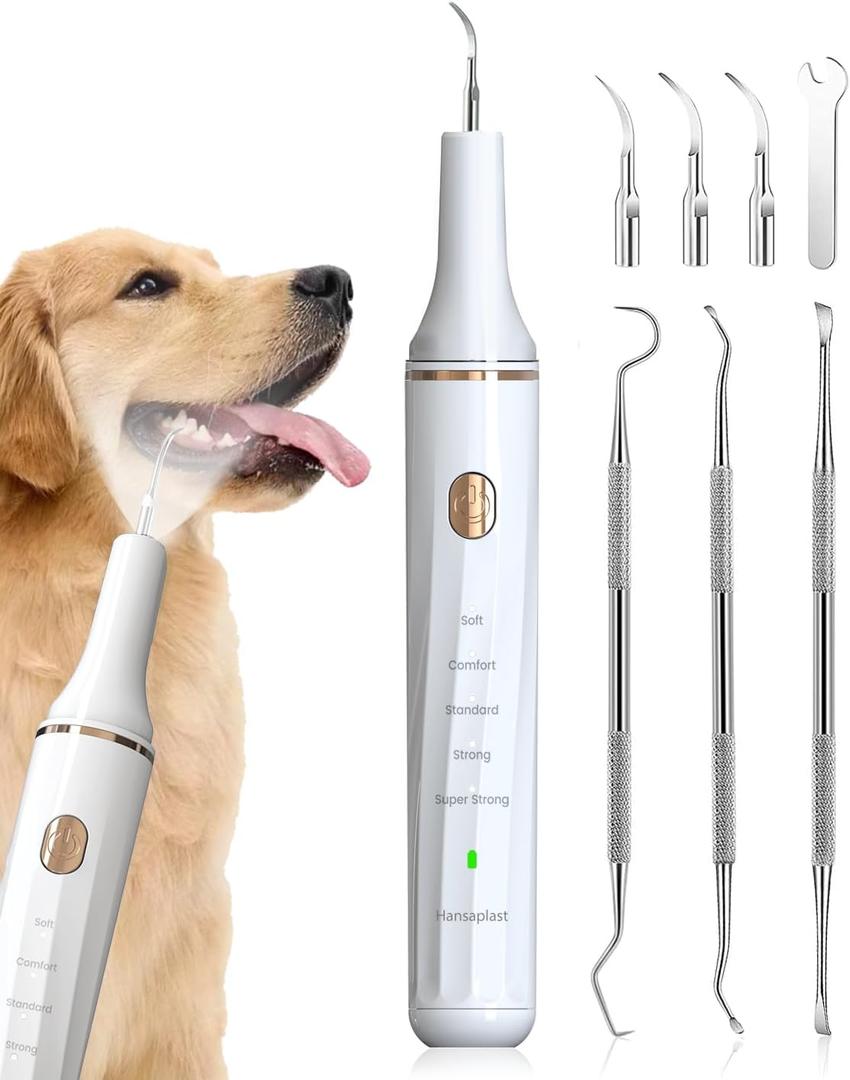 Hansaplast Plaque Remover for Teeth, Dog Teeth Cleaning, Dental Tools to Remove Tartar and Stains, Safe for Dogs & Cats, with Led Light & 5 Adjustable Modes(White)