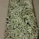 15 Pcs Gold Glitter Artificial Cedar Sprigs Picks Faux Cedar Branches Stems Christmas Tree Picks Sprays 15.4" H for Gold Christmas Tree Wreath Wedding Bouquet Winter Seasonal Holiday Decoration