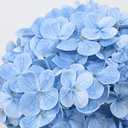 4 Pcs Blue Hydrangea Artificial Flowers, Latex Real Touch Hydrangea Flowers, 19.6'' Full Faux Hydrangea Flowers Fake Flowers for Home Decor Party Wedding Centerpiece Bouquet Floral Arrangements