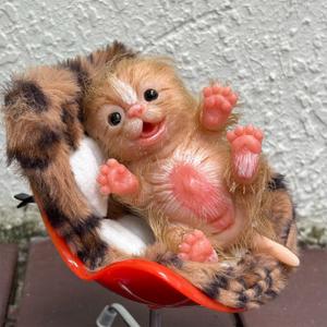 Silicone Reborn Animal Dolls, 5 Inch Soft Lifelike Mini Cat Realistic Cute Toy