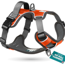 Embark Adventure Small Dog Harness – No-Pull, Reflective Trim, Military-Grade Nylon, Front Clip with Gel-Lined Handle, Small