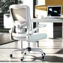Ergonomic Office Chair - High Back Desk Chair with Adjustable Lumbar Support, Breathable Mesh Back, 330LBS Capacity, Easy Assembly, for Home Office Executive Computer Task, 21.65 inches x 20.07 inches x 42.52 inches