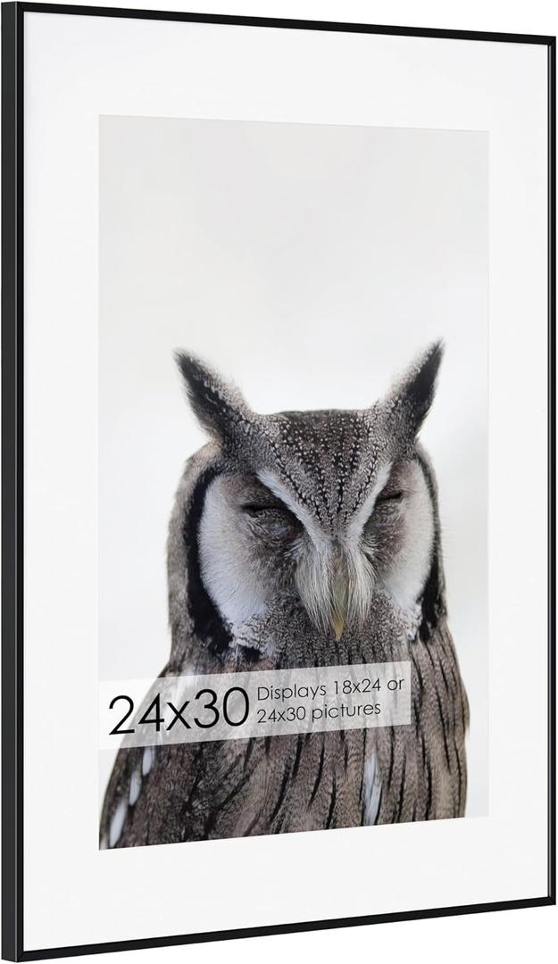 24x30 Metal Picture Frame with 18x24 Mat, Brushed Aluminum Finish, Tempered Glass Front, and Attached Hanging Hardware - Versatile Wall Display Frames for Vertical or Horizontal Orientation(Black,