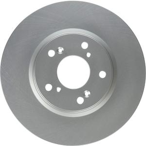 Raybestos 981022FZN Rust Prevention Technology Coated Rotor Brake Rotor, 1 Pack