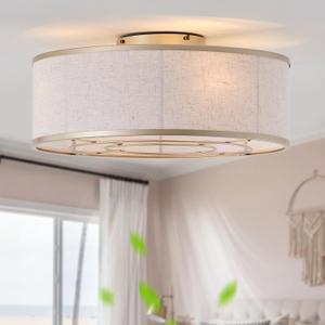 20 Inch Boho Ceiling Fan with Light, Low Profile Flush Mount Caged Ceiling Fan, Bladeless Gold Drum Chandelier with Remote, 6 Speed Reversible DC Motor for Bedroom Living Room, E26 Base, Small