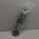 LITBLOOM Lighted Tabletop Olive Tree 18IN 50 LED Fairy Lights with Timer Battery Operated or USB Plug in Bonsai Tree for Wedding Christmas Spring Home Decoration