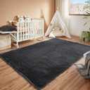 Floralux Area Rugs for Living Room, Dark Grey, 4x6 Rug for Bedroom, Fluffy Shag Shaggy Soft Carpet, Non-Slip Indoor Floor Carpets for Nursery, Kids Baby Boys Teen Dorm Home Decor Aesthetic