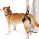 ROZKITCH Pet Dog Support Harness Rear Lifting Harness for Back Legs Reflective Dog Sling Vet Approved for Old Helps with Poor Stability Hind Legs, Joint Injuries Elderly Arthritis ACL Rehab Black M (M(Leg Girth: 17.3-22"))