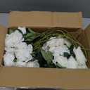 Hananona 50 Pcs Artificial Roses in Bulk, Fake Velvet Silk White Roses Realistic White Roses for Wedding Centerpieces Flower Arrangement Home Decor (50, White)