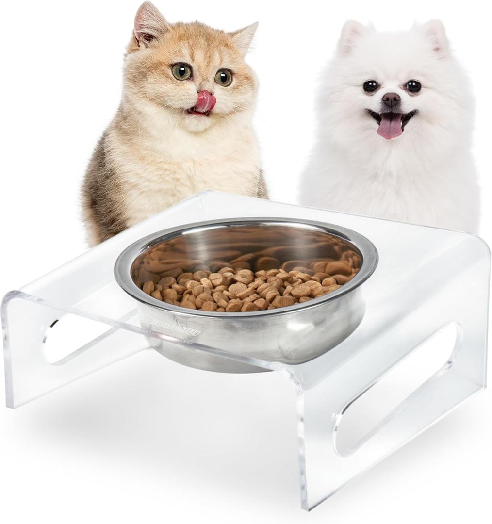 Tilted Raised Elevated Food and Water Bowls Stand for Cat or Small Dogs - Puppy's Clear Acrylic Stainless Steel Dishes Holder for Boy or Girl Pet,Modern, and Easy to Clean by WBhonghui (Clear-Single)