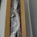 Cushioned Padded Folding Stools, Folding Bar Stool with Backrest, 220lb Capacity, 19 Inch Collapsible Round Portable Foldable Chair for Outdoor Indoor Kitchen Camping Fishing (Pink, 2 Pack)