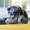 Evanger's Heritage Classic Chicken & Rice Dinner  12 Count, 20.2 oz Each  Wet Dog Food with Chicken and Rice  Gluten-Free Loaf Style Meal  Complete and Balanced for All Life Stages (EXP 12/31/26)