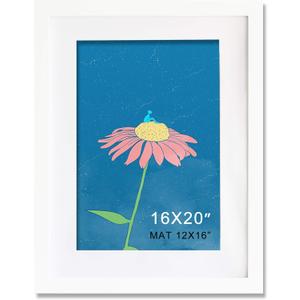 16x20 Frame White Solid Wood With Mat 12x16 Wall Picture Poster Photo frames (16x20in)