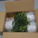 Hollyone 3 Pack Artificial Potted Plants Eucalyptus Rosemary ZZ Plant Zamioculcas Zamiifolia Fake Plant in Pot Small Faux Plant Greenery Aesthetic Indoor Home Decor Bathroom Bedroom Table Shelf Office