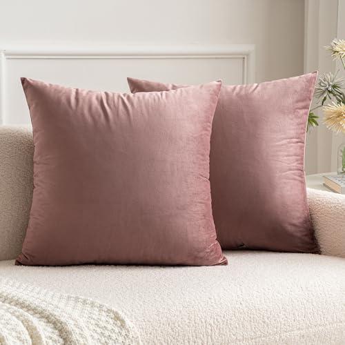 MIULEE Velvet Throw Pillow Covers 16x16 Inch, Pack of 2 - Jam, Soft Solid Decorative Pillow Covers Cushion Cases Modern Luxury Home Decor for Spring Couch Sofa Bedroom Livingroom