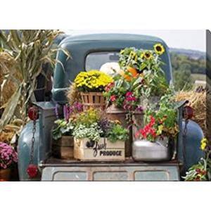 Green and Gray Fresh Produce Outdoor Canvas Rectangular Wall Art Decor 16 × 24"