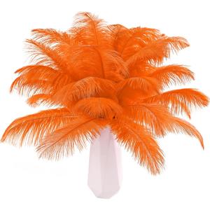 THARAHT Orange Ostrich Feathers 24pcs Natural Bulk 10-12Inch 25cm-30cm for Crafts Wedding Party Centerpieces Halloween and Home Decoration Feathers