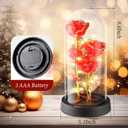 WINTERCRUSH Premium Light-Up Glass Rose - Perfect Birthday,Mother's Day,Valentine's for Women,Mom,Wife,Grandma,or Girlfriend - Colorful Rainbow Rose,Ideal for Home Decor (Red)