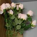 12pcs Champagne Roses Artificial Flowers Vintage Burnt Rose 20" Realistic Silk Roses Bouquet with Long Stem for Wedding Party Floral Centerpieces Decoration (Champagne)