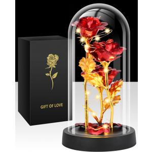 Mothers Day Glass Rose Gifts for Mom Women, Rose Flower Birthday Gifts for Women Mom Wife Girlfriend, Light Up Rose in A Glass Dome, Rose Gifts for Valentines, Mothers Day, Womens Day (Red)
